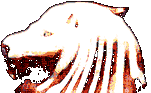 lion head animation left